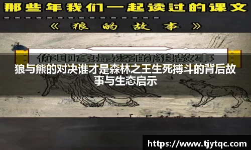 DG视讯平台